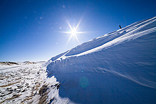 雪,太阳,木材,冬季乌兰布统