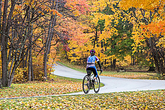道路,骑自行车,褐色,州立公园,印地安那,美国