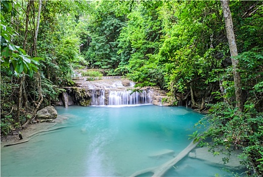 漂亮,树林,瀑布,泰国