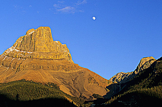 月亮,上升,上方,碧玉国家公园,艾伯塔省,加拿大