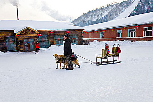 雪乡,双峰林场,村庄,风景,白天,黑龙江,牡丹江