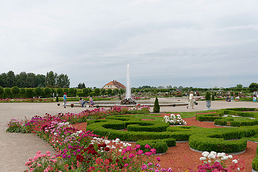 玫瑰园,公园,宫殿,拉脱维亚,波罗的海国家,欧洲