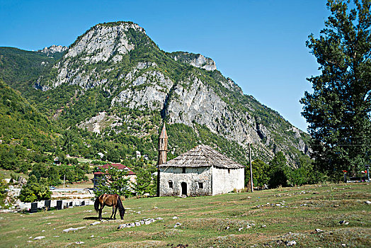 马,放牧,正面,清真寺,靠近,阿尔巴尼亚,阿尔卑斯山,欧洲