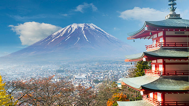 山,富士山,秋天,红枫,叶子,日本