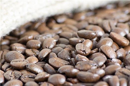 咖啡豆,微距