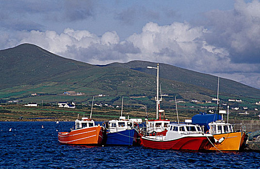 码头,岛屿,凯瑞郡,爱尔兰,彩色,船,港口
