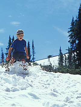 男孩,滑动,夏天,雪,靠近,班夫国家公园,加拿大,艾伯塔省