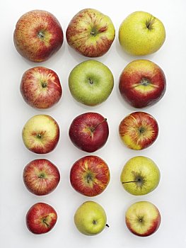 多样,品种,苹果,俯视