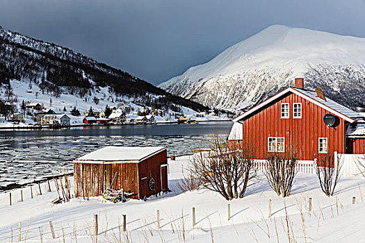 特色,斯堪的纳维亚,家,水,靠近,冬天,挪威