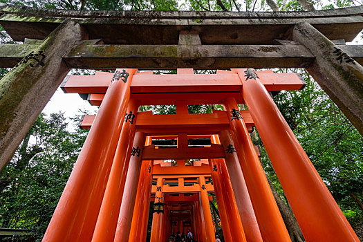 日本京都伏见稻荷大社千本鸟居风光