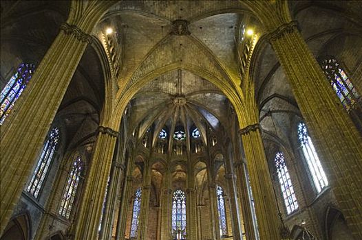 大教堂,哥特式,天花板,地区,巴塞罗那,加泰罗尼亚,西班牙