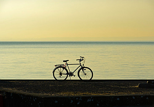 剪影,逆光,自行车,康士坦茨湖,瑞士,欧洲