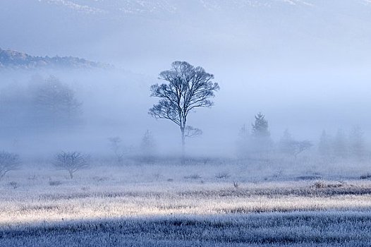 早晨,黎明