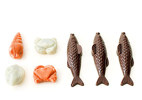 巧克力,鱼肉,海洋动物