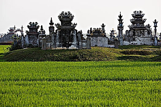 佛教,墓地,色调,越南