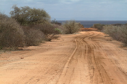 公路,斜坡,北方,肯尼亚