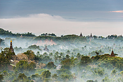 塔,庙宇,围绕,树,雾气,地区,若开邦,缅甸,亚洲