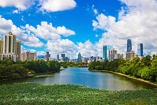 广东深圳罗湖区洪湖公园美景