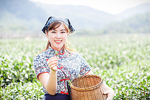 亚洲人,漂亮,女孩,种植园