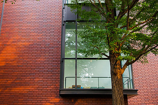 日本东京艺术大学,阳光落在艺术大学的红墙与落地窗上