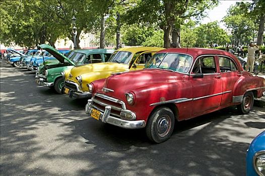 许多,老爷车,哈瓦那,古巴,中美洲