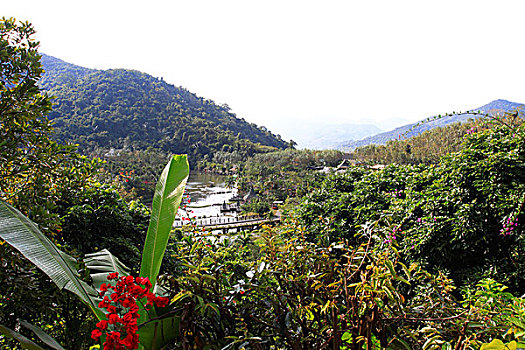 三亚呀诺达雨林文化旅游区