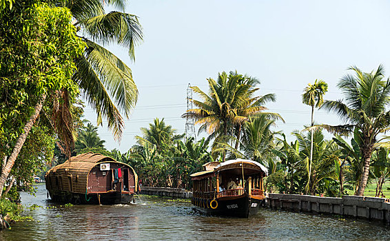 船屋,死水,靠近,海岸,喀拉拉,印度,亚洲