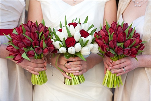 红色,白色,郁金香,玫瑰,新娘手花