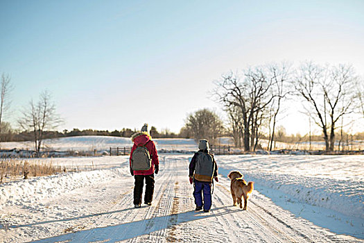 金毛猎犬,两个,孩子,姐妹,书包,走,积雪,安大略省,加拿大