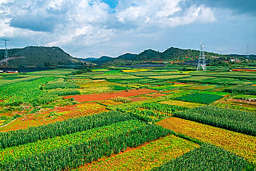 田园乡村