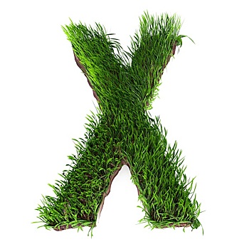 草,字母x
