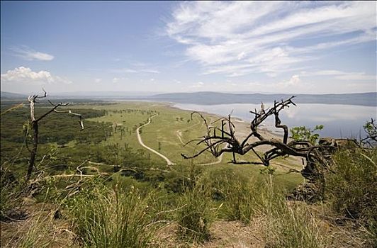 风景,纳库鲁湖,纳库鲁湖国家公园,肯尼亚,俯拍