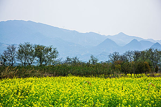 田园春色