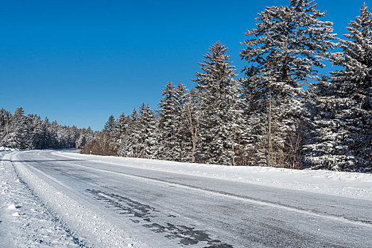 冬季雪后的树林和公路