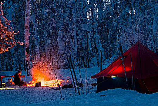 男人,坐,旁侧,营火,夜晚,靠近,帐蓬,雪中,遮盖,树林,俄罗斯