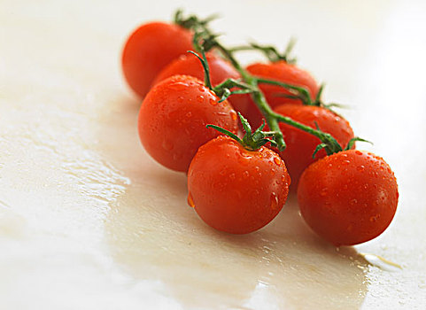 小,西红柿茎