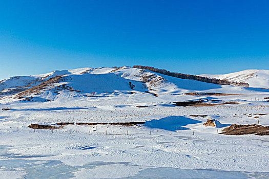 冬季雪地风光