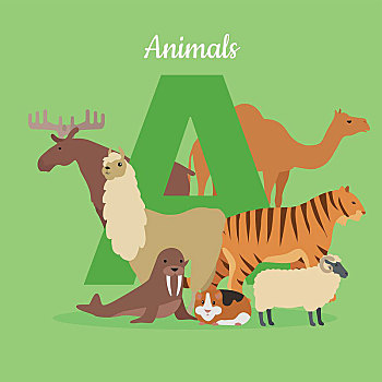 动物,字母,矢量,风格,骆驼,麋鹿,美洲驼,虎,海象,天竺鼠,绵羊,站立,绿色背景,字母a,后面,孩子,书本,课本,概念,设计