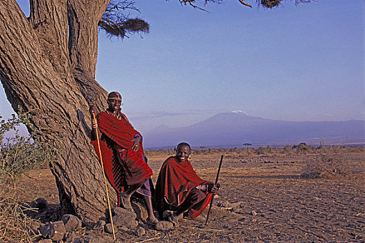 肯尼亚,安伯塞利国家公园,马萨伊,男人,靠着,刺槐,山,乞力马扎罗山,背景