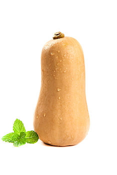 白底上的奶油南瓜