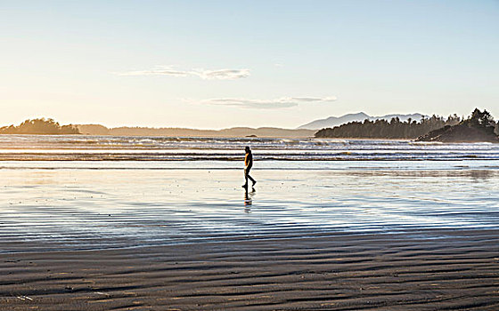 男人,漫步,长滩,日出,环太平洋国家公园,温哥华岛,不列颠哥伦比亚省,加拿大