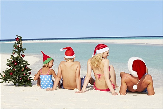 家庭,坐,海滩,圣诞树,帽子