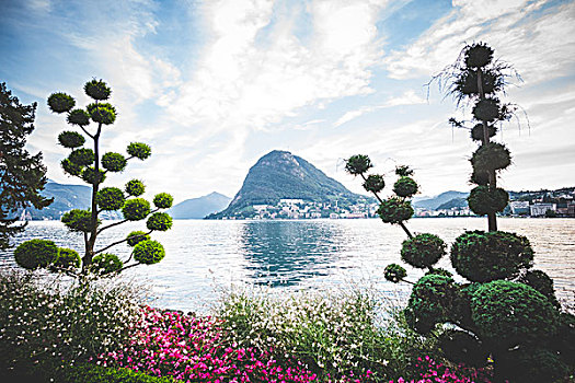 正规花园,花坛,湖,卢加诺,瑞士