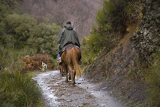 骑马,索米多,阿斯图里亚斯,西班牙