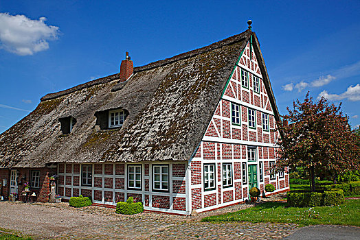 历史,茅草屋顶,半木结构房屋,陆地,下萨克森,德国,欧洲
