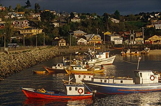 智利,波多黎各,渔船,港口,区域,南方