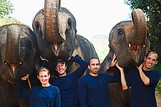 四个,游客,姿势,大象,泰国,清迈