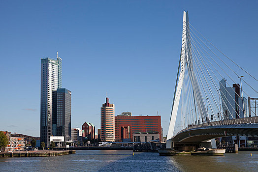 桥,河,鹿特丹,荷兰