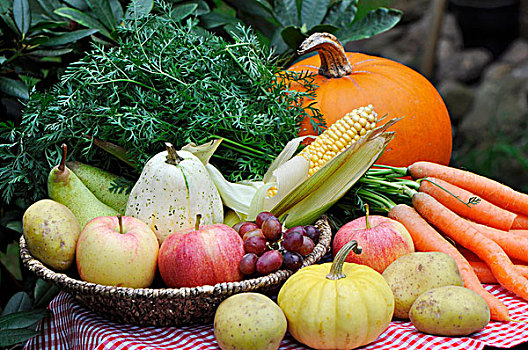 收获节,桌子,水果,蔬菜,玉米棒