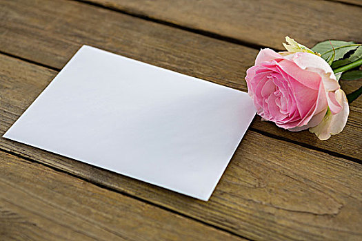 粉红玫瑰,信封,厚木板